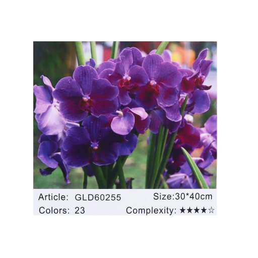 Алмазная мозаика по номерам 30*40 "Орхидеи" карт уп. (холст на раме)