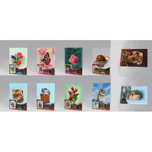 Набір для творчості "Вишивка гладдю по номерам" на підрамнику (10) Danko Toys